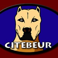 Citebeur logo