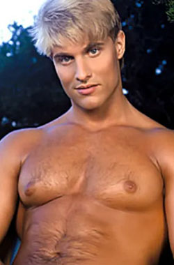 Steve Fox