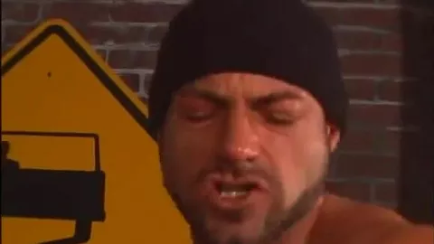 Tre orsi, una tonnellata di possibilità