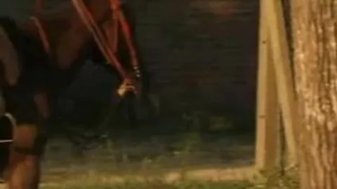 Giovani soldati latini