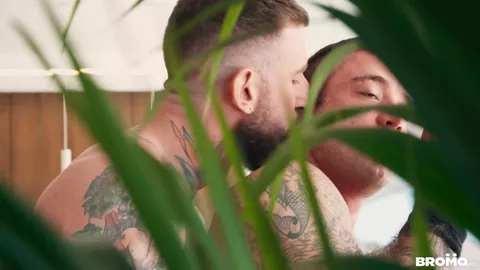 Troy Daniels détruit le trou poilu de Blessed Boy