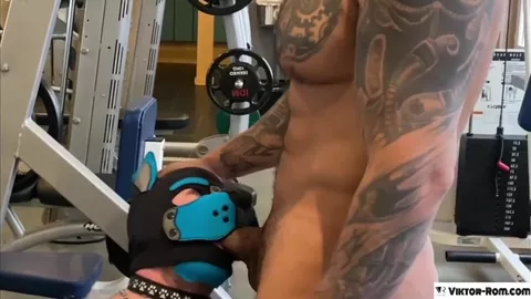 Viktor dressiert einen Puppy