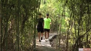 No meio do bosque – Glenn Hut & Leonel Russell
