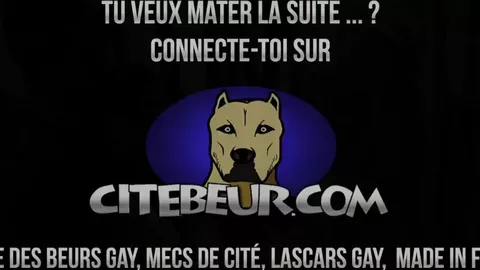 Eier-Leerung, gedreht von zwei Schlägern