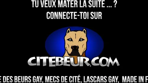 Julien Stark demolito dallo stallone black King Beloved