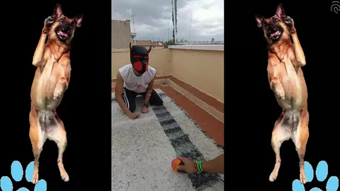 ¡¿Quién dejó salir al perro?! por Leo Bulgari & Puppy Tito Catulo