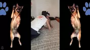 Chi ha fatto uscire il cane?! di Leo Bulgari & Puppy Tito Catulo