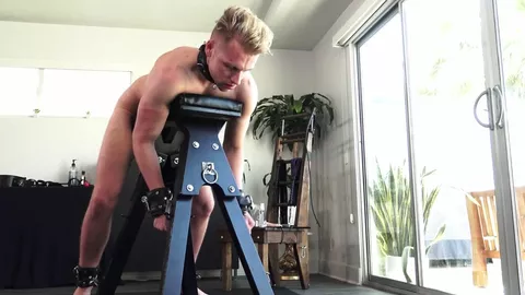 David Webb – The Pool Boy – Capítulo 9