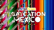 Gaycation – Episódio 9: Sexo na selva