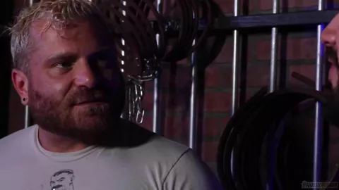 Top 5 delle scene più hot con Riley Mitchel