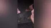 Sexo na sauna