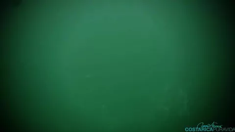 Cain plonge dans Connor