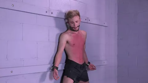 Logan – Twink-Folter – Teil 2