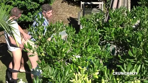 Dimitri de Bordéus comido no jardim por Apoolo Adrii