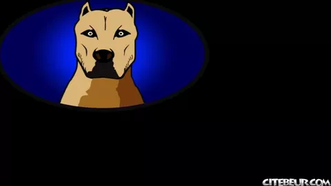 Sottomesso a un cazzo XXL nero