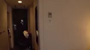Sexe en corée
