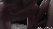Inseminación natural