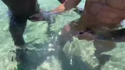 Alejo Ospina – Pompino a uno sconosciuto in spiaggia
