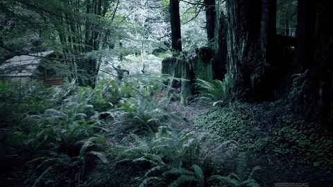 Vampiri nudi – Jayde Nellis & Kain Lanning