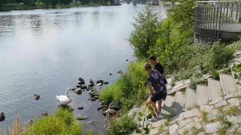 Curtis Cameron & Liam Butler