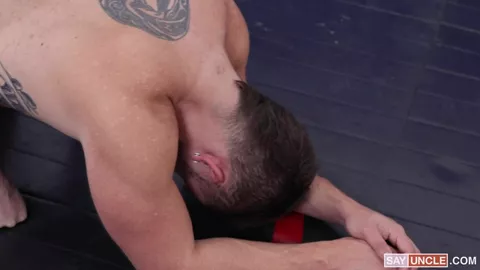 Die Technik des Ringers