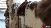 Norse Fuckers — Tyler Berg, Malik Delgaty, Felix Fox, Sir Peter, Craig Marks, Dean Young, Papi Kocic