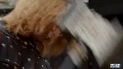 Norse Fuckers — Tyler Berg, Malik Delgaty, Felix Fox, Sir Peter, Craig Marks, Dean Young, Papi Kocic
