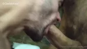 DaddyXXXL hace facefucking a BigSpoonXXL