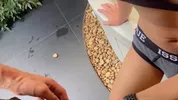 Explorer le corps d’un minet