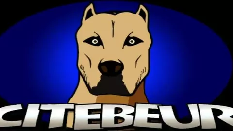 Pollón rellena a un árabe pasivo