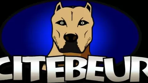 Grosse teub pénètre un arabe passif