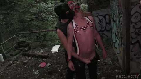 Alpha con i suoi puppies