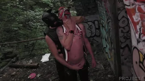 Alpha mit seinen Puppies