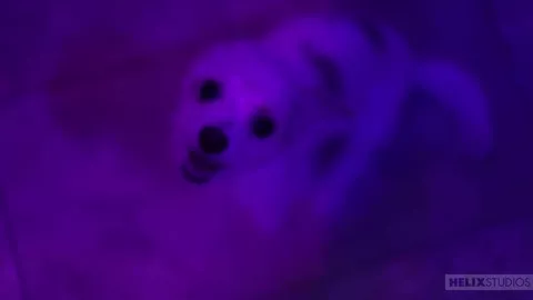 Es ist Party! – Jacob Hansen, Dante Clark