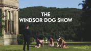 The Windsor Dog Show