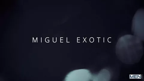 Una mattina esotica – Miguel Exotic & Felix Fox