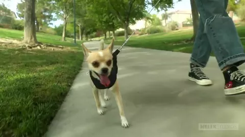 Willkommen in der Nachbarschaft – Aiden Garcia & Asher Haynes