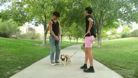 Bienvenido al barrio – Aiden Garcia y Asher Haynes