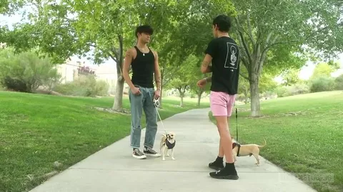 Bem-vindo ao bairro – Aiden Garcia & Asher Haynes