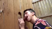 Um gloryhole no acampamento – Levy & Nolan