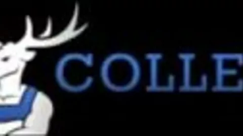 Stag Cum-llective Compilation