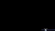 Stag Cum-llective Compilation