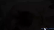 Stag Cum-llective Compilation