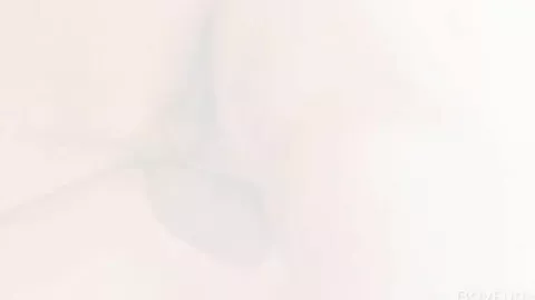 Alan Caine & O’Neight