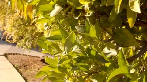 Infilarlo di nascosto