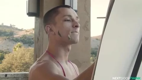 Van Gay - El artista