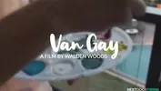 Van Gay - O artista