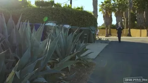 Cortometraggio X: The Last Course