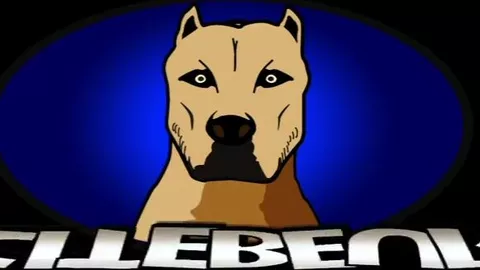 Brutales Anal-Geballer im Keller