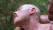 Dominação hard na floresta